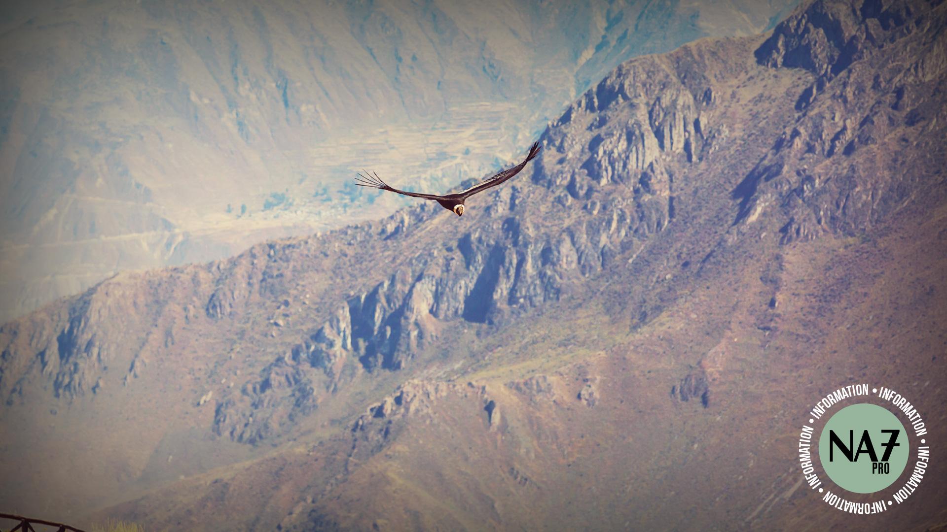 Visuel First Eagle Investments – Victory Capital launches takeover bid